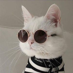 Meet your Posher, Brandy